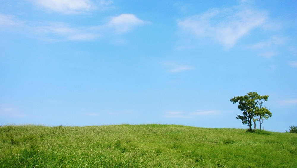 �����å�.jp